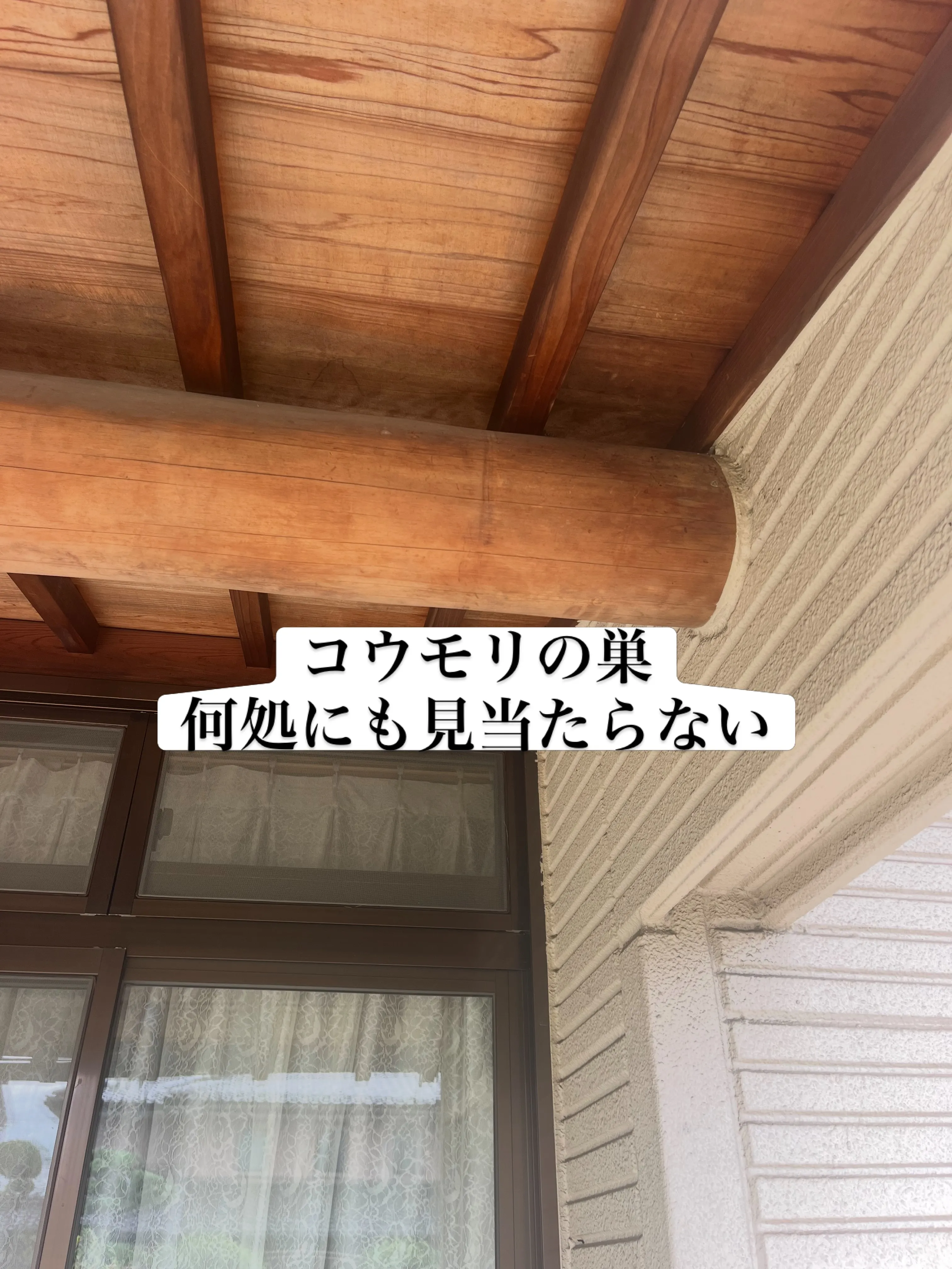 「姿が見えないから大丈夫」は要注意。