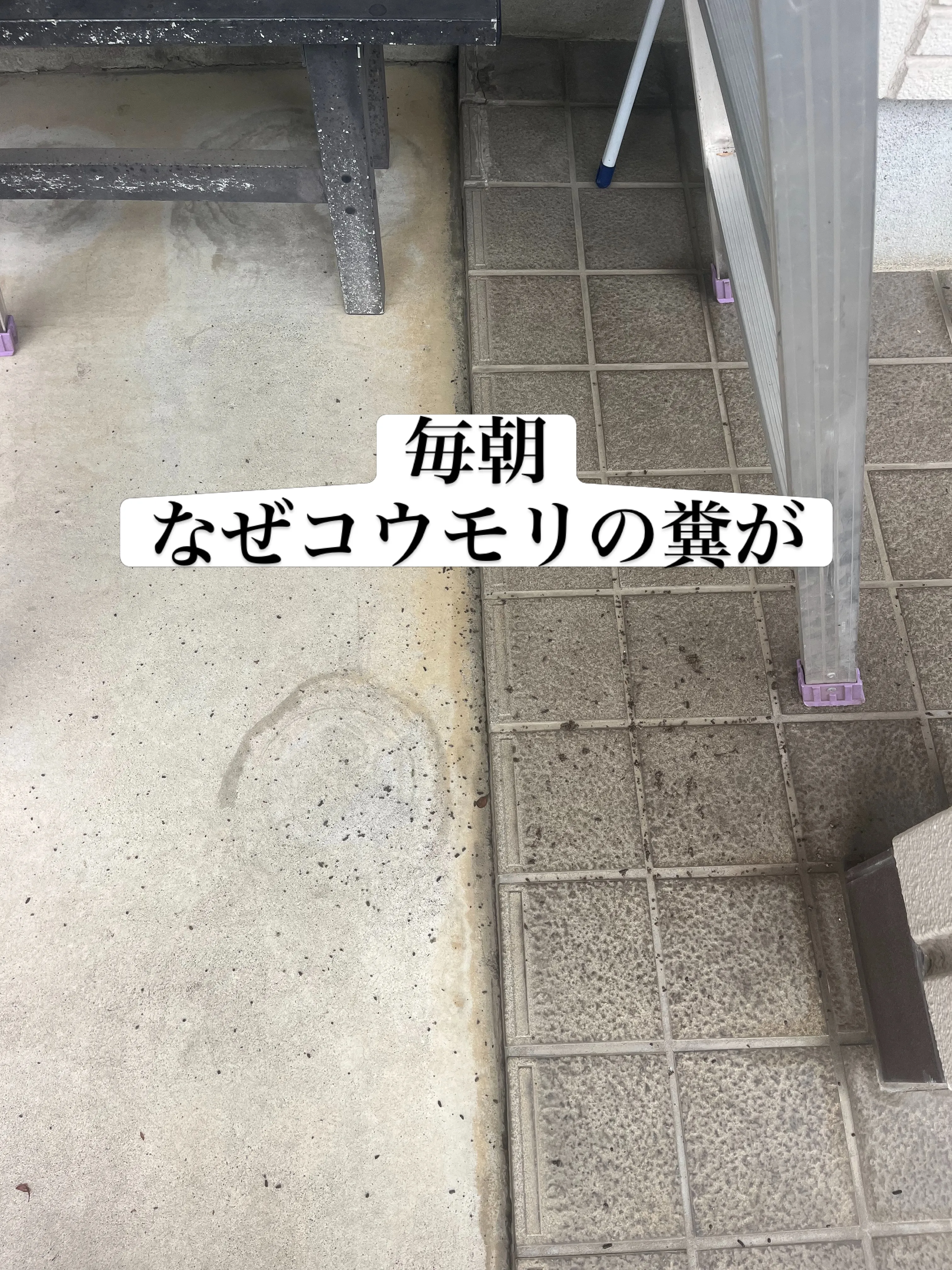 「姿が見えないから大丈夫」は要注意。