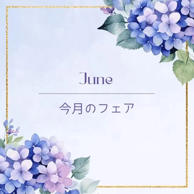 今月のフェアのお知らせです✨