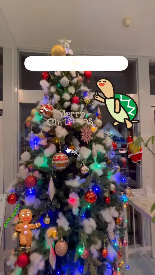 メリークリスマス🎄✨